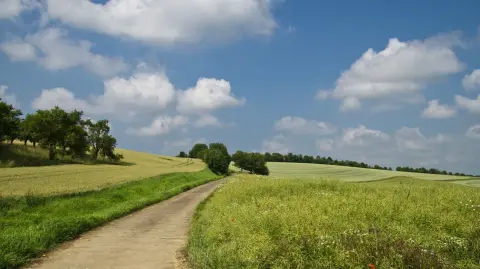 Coworking rural : même les espaces de coworking se mettent au vert !