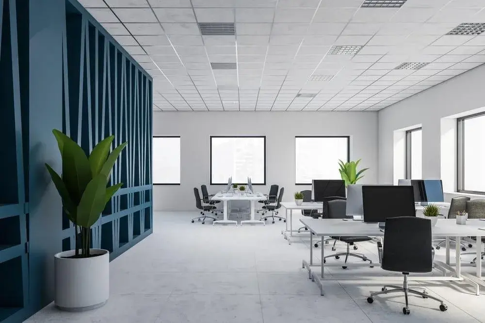 What are the different types of commercial lease?