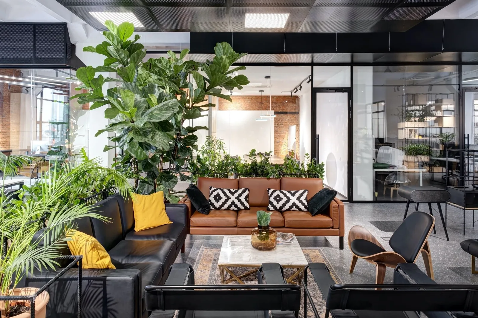 How to set up your coworking space?