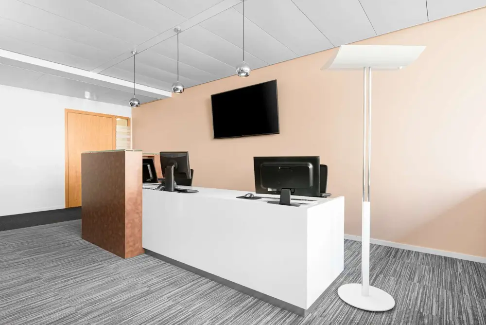 Regus GENEVA, Rhone 8