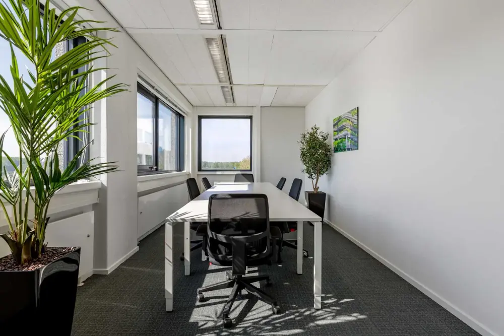Regus NIEUWEGEIN, Nieuwegein City