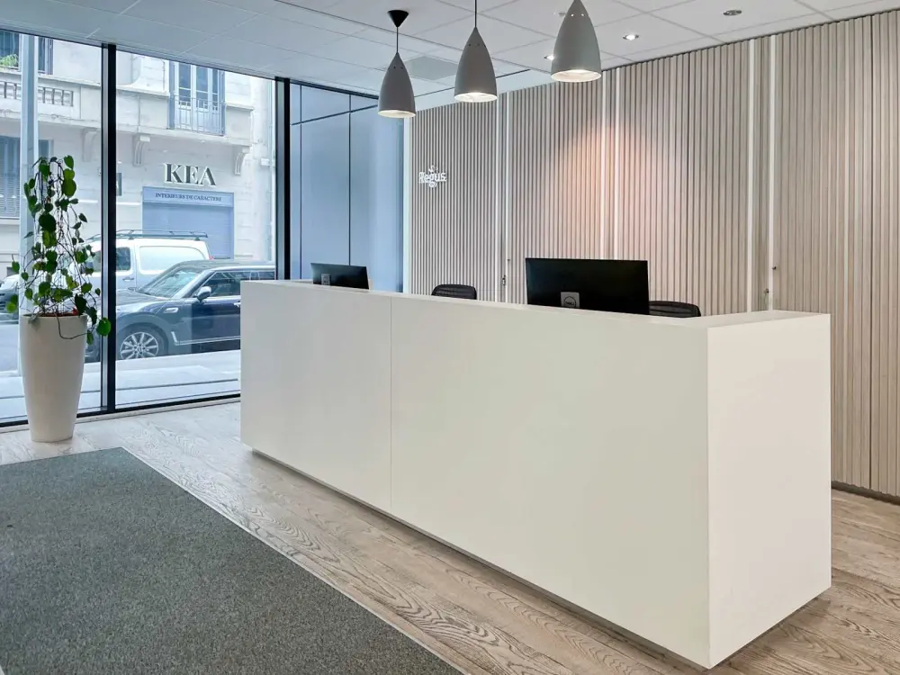 Regus LYON, Brotteaux