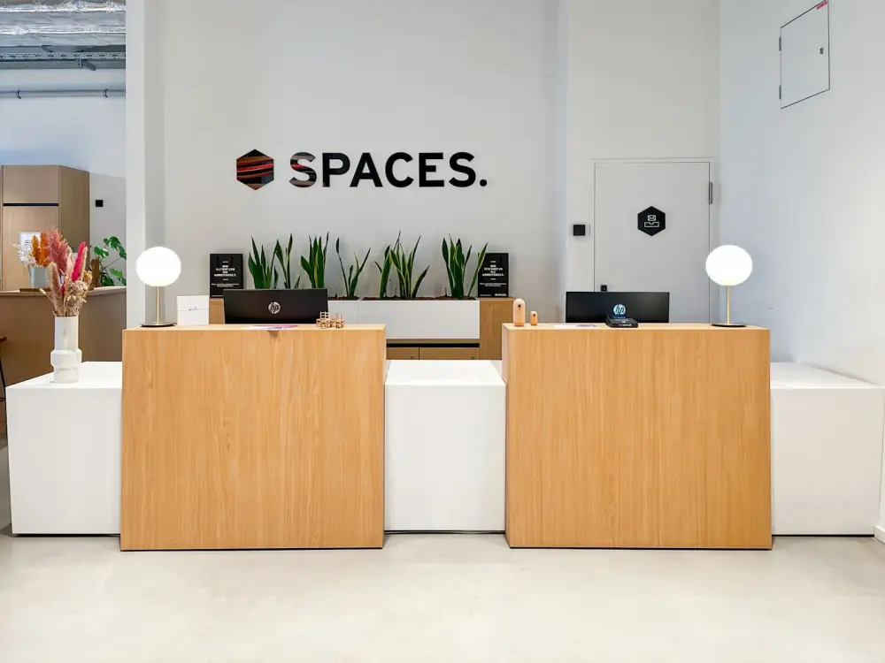 Spaces DUSSELDORF, Spaces The Cradle