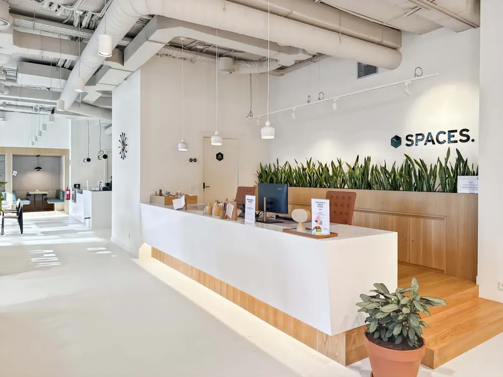 Spaces Avalon