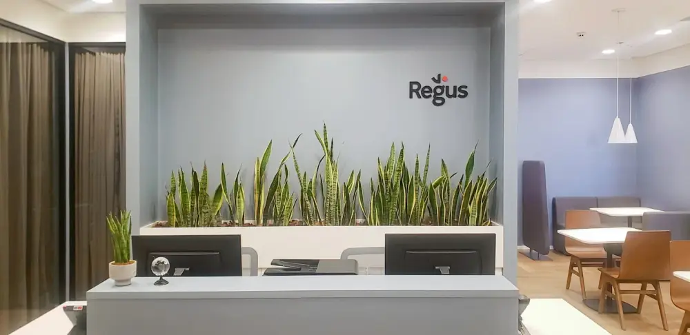 Regus Goiania, Flamboyant