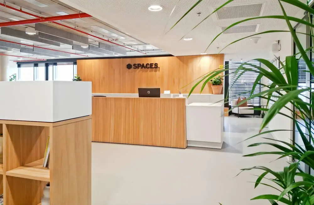 Spaces Vienna, Francis