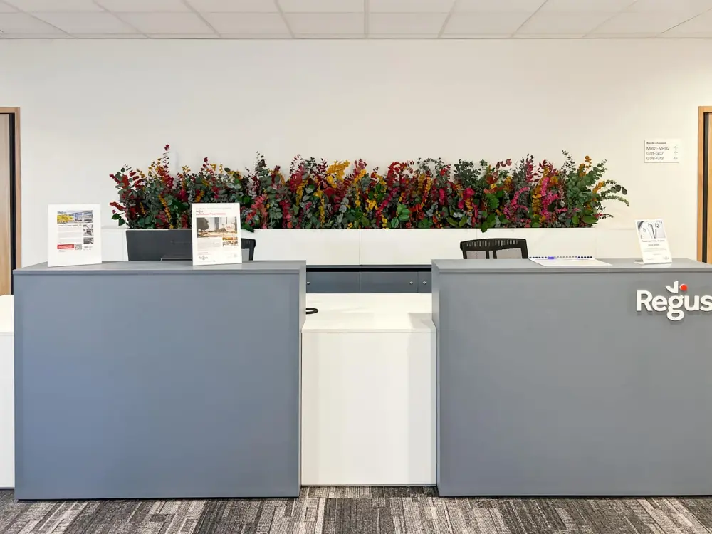 Regus Echirolles, Pixel