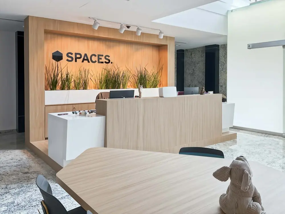 Spaces MEXICO CITY, Roma