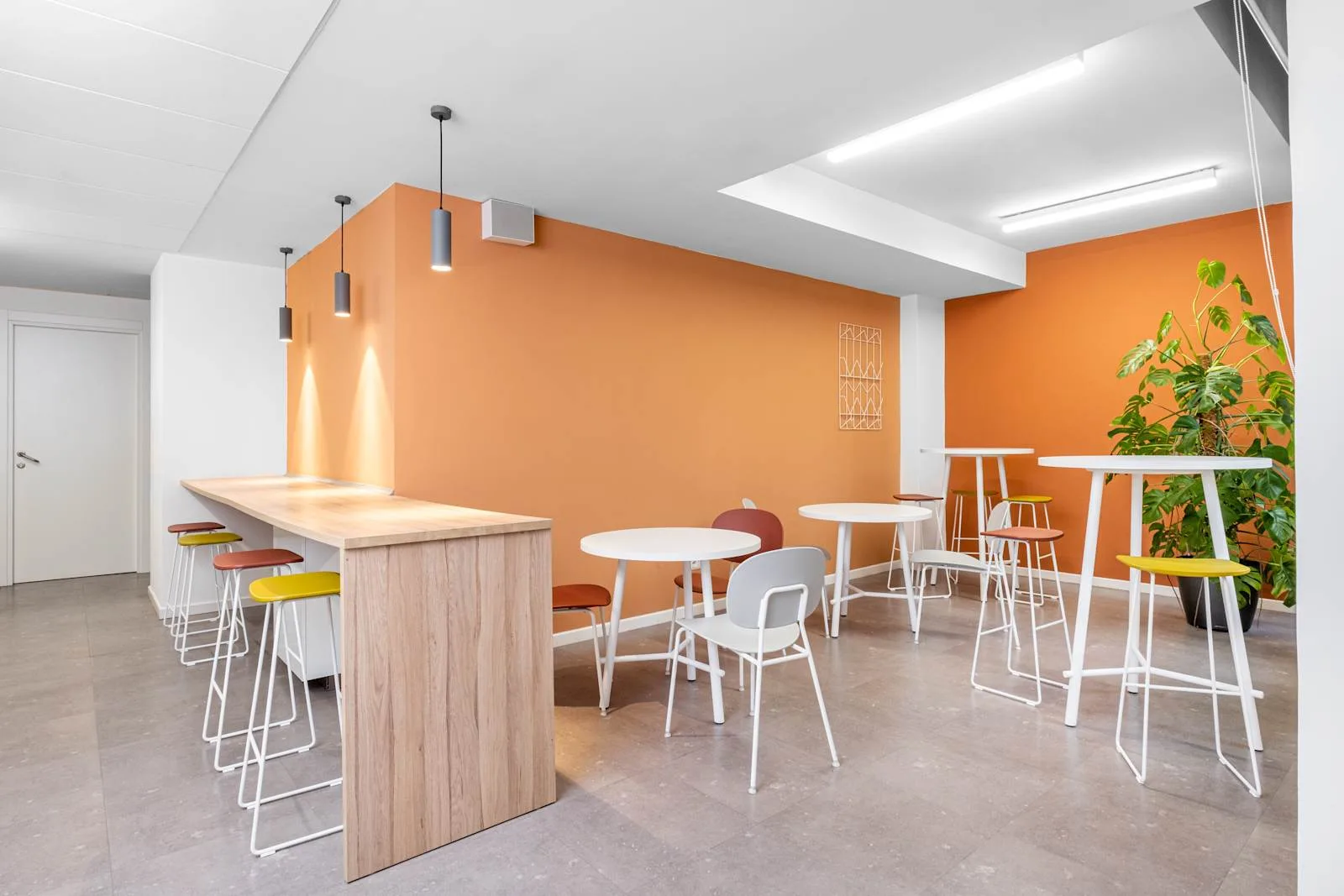 Copernico Bologna, Rizzoli Copernico, Cafeteria, Bologna