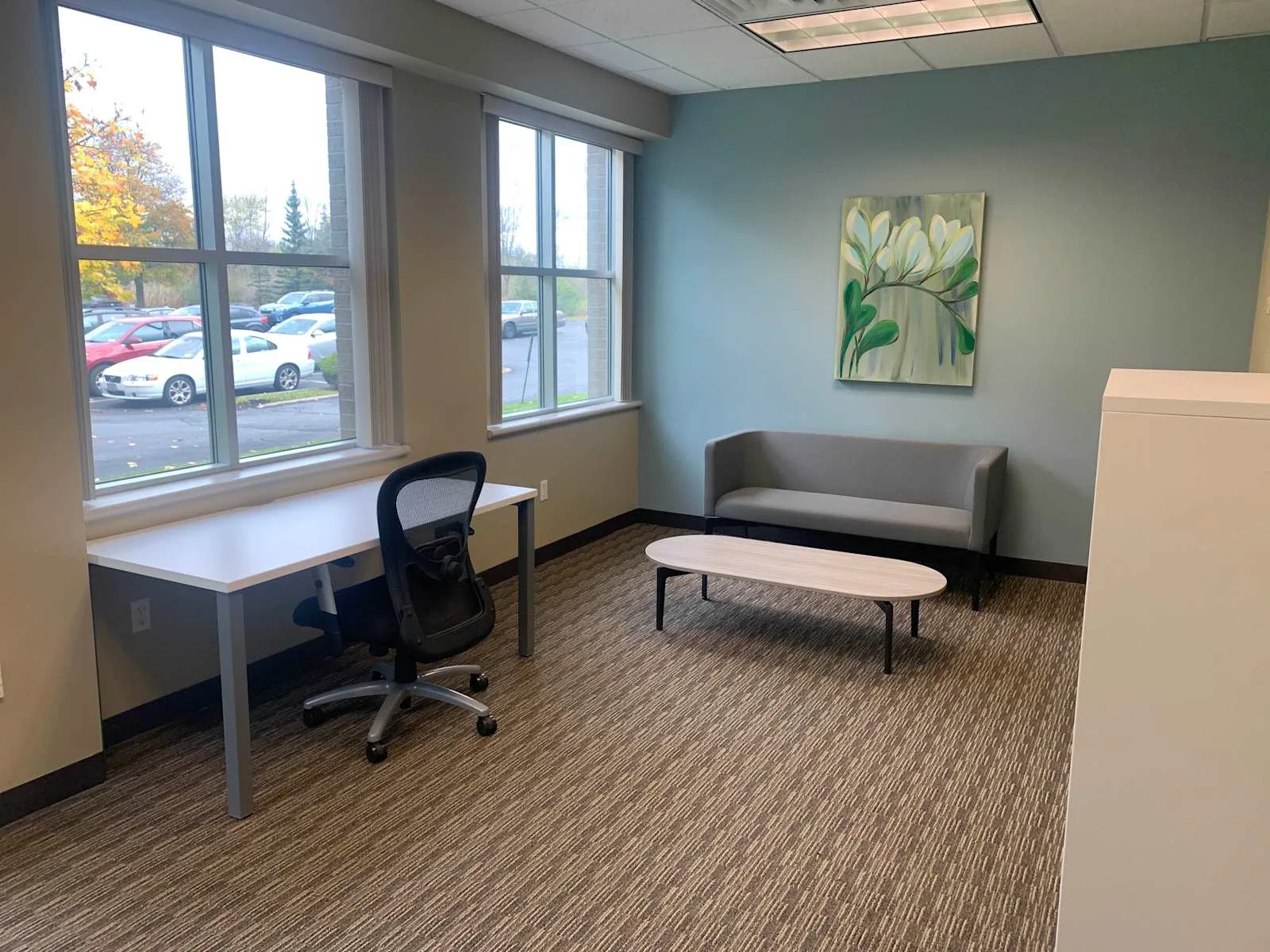 HQ NY, Williamsville - Buffalo - North Towns, Private office, 1 desk, Bowmansville, NY