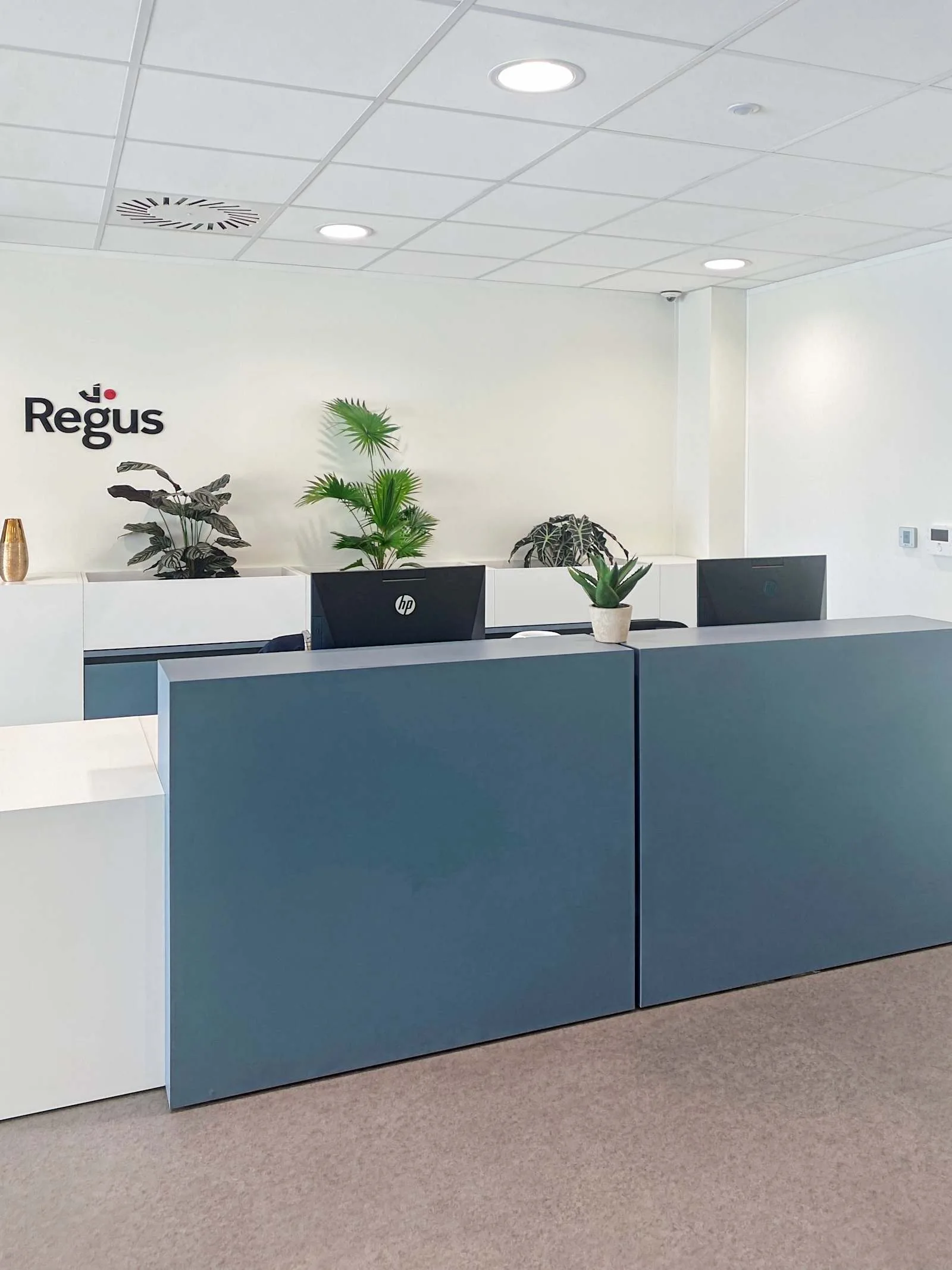 Regus Brest, Réception, Brest
