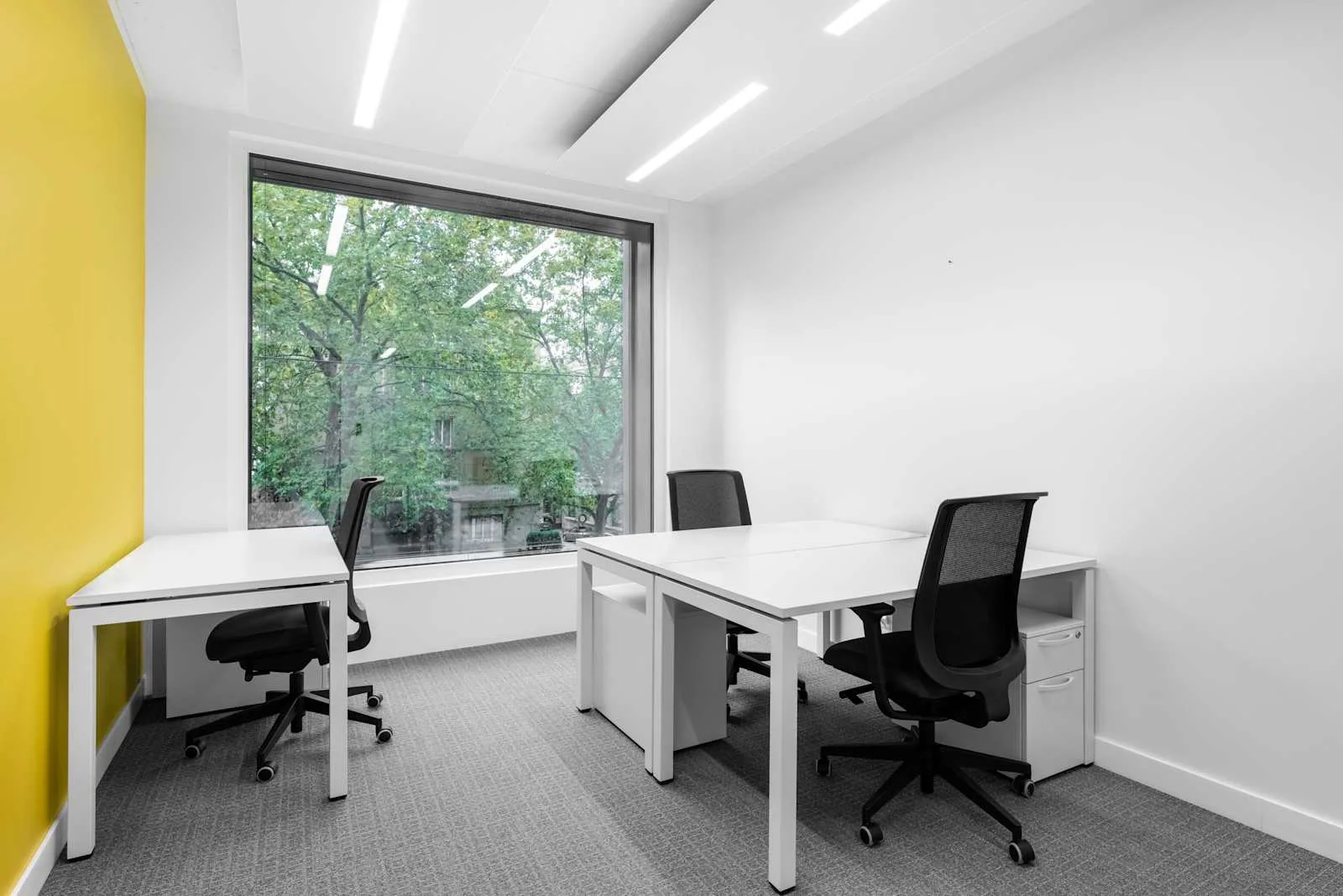 Regus GENEVA, City Centre, Private office, 3 desks, Geneva