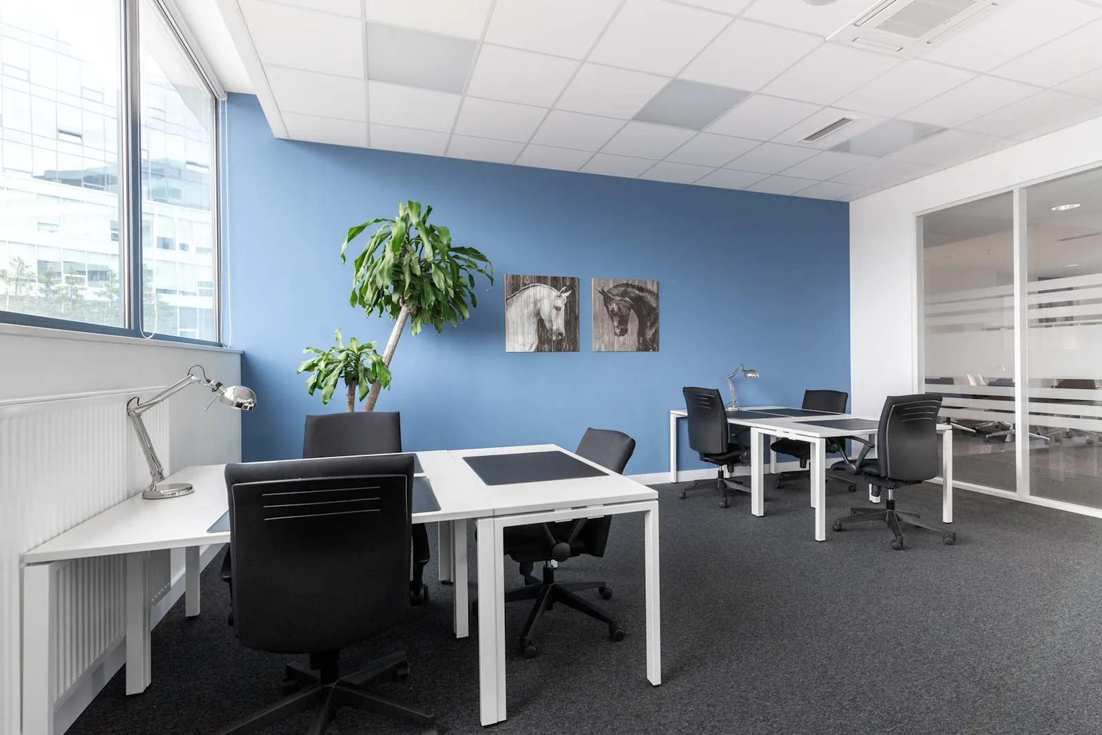 Regus KRAKOW, Graffit House, Private office, 6 desks, Krakow