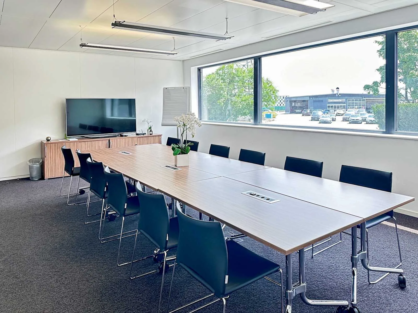 Regus NYON, Business Park, Sala riunioni da 12 persone, Eysins