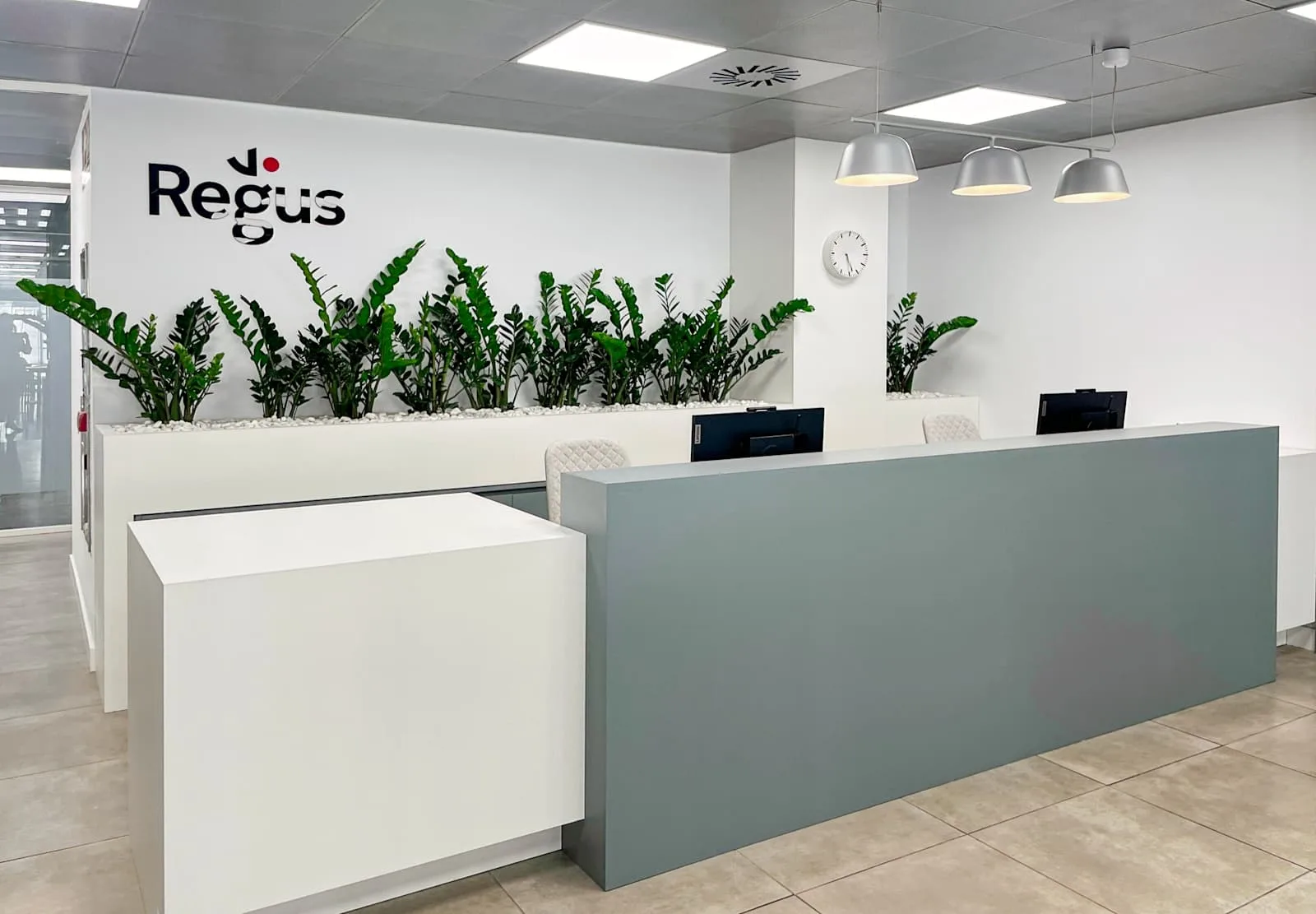 Regus Zaragoza, Alfonso I, Recepción, Zaragoza
