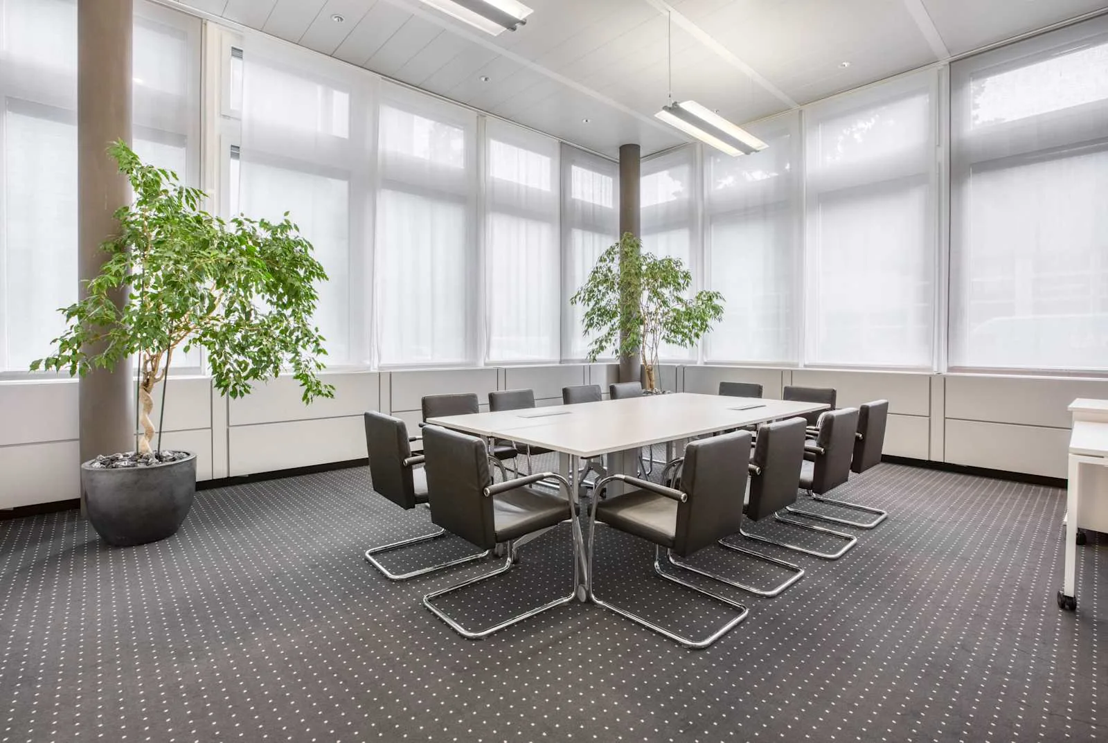 Regus Zug, Dammstrasse, Meeting room for 10 people, Zug
