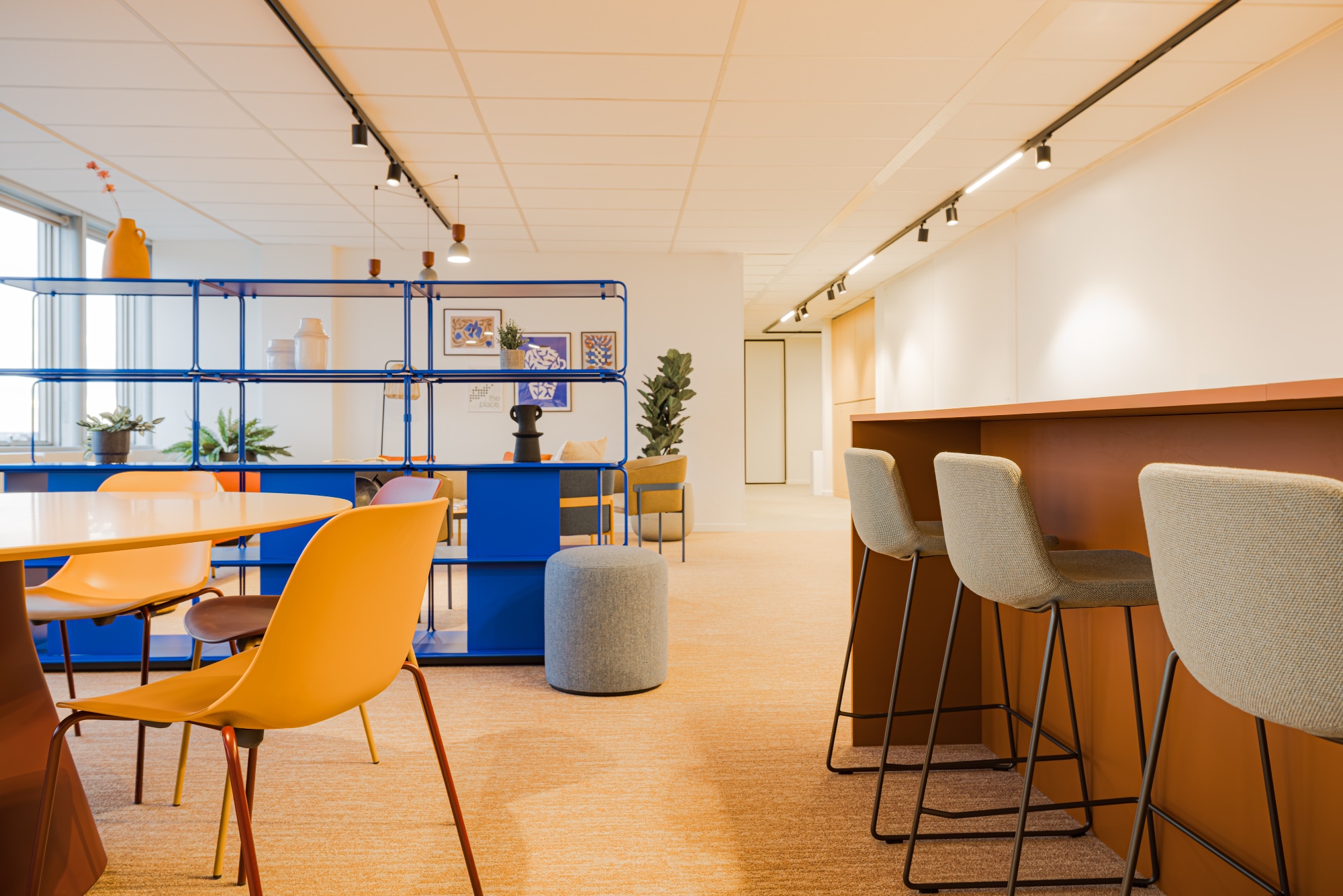 Whitlock Brussels