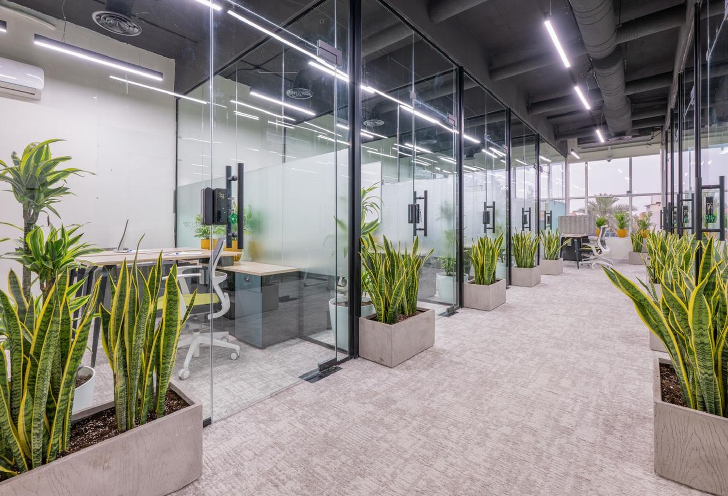 Hayez Coworking Space
