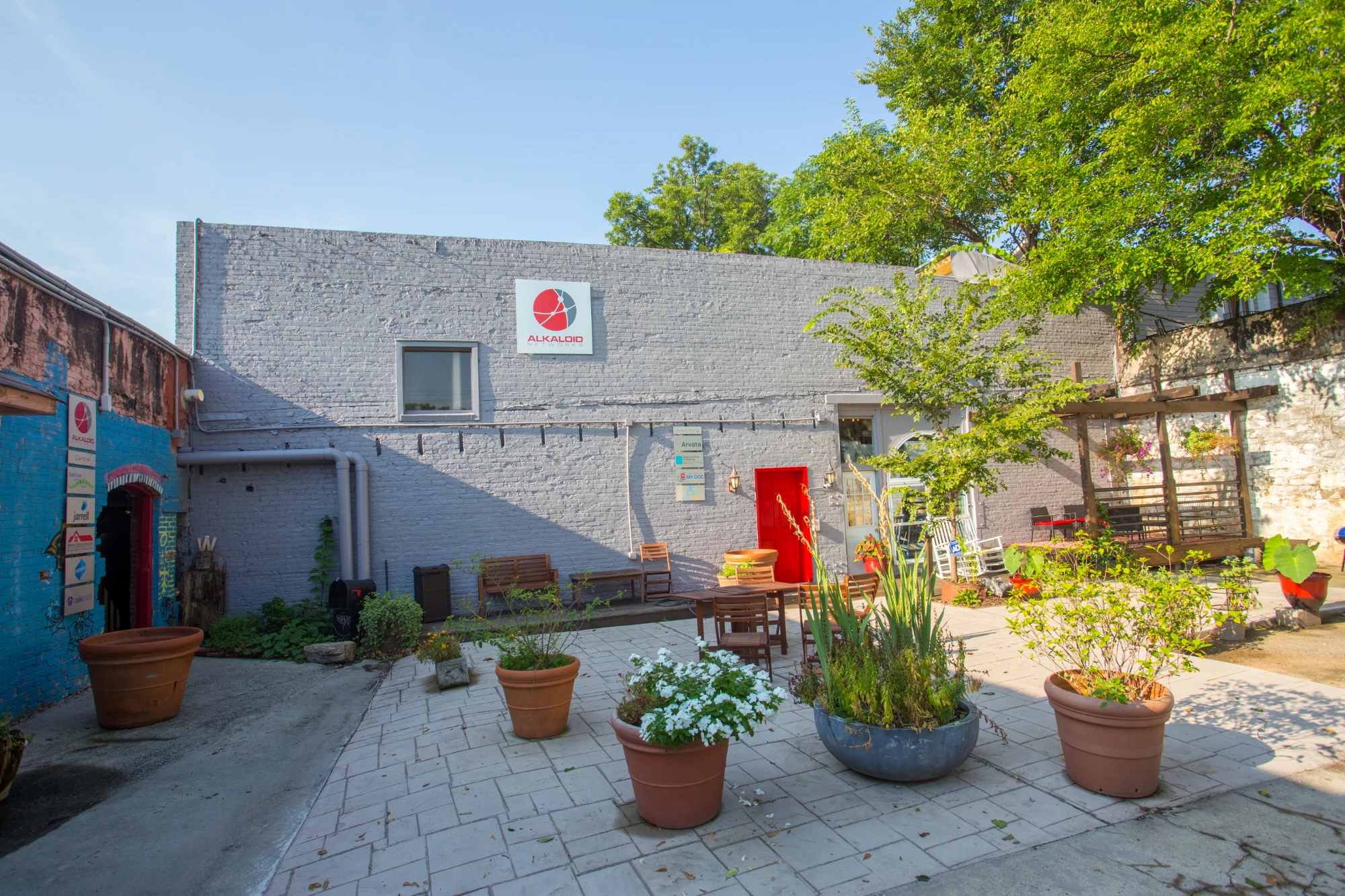 Alkaloid Networks, Terrace and outdoor space, Atlanta, GA