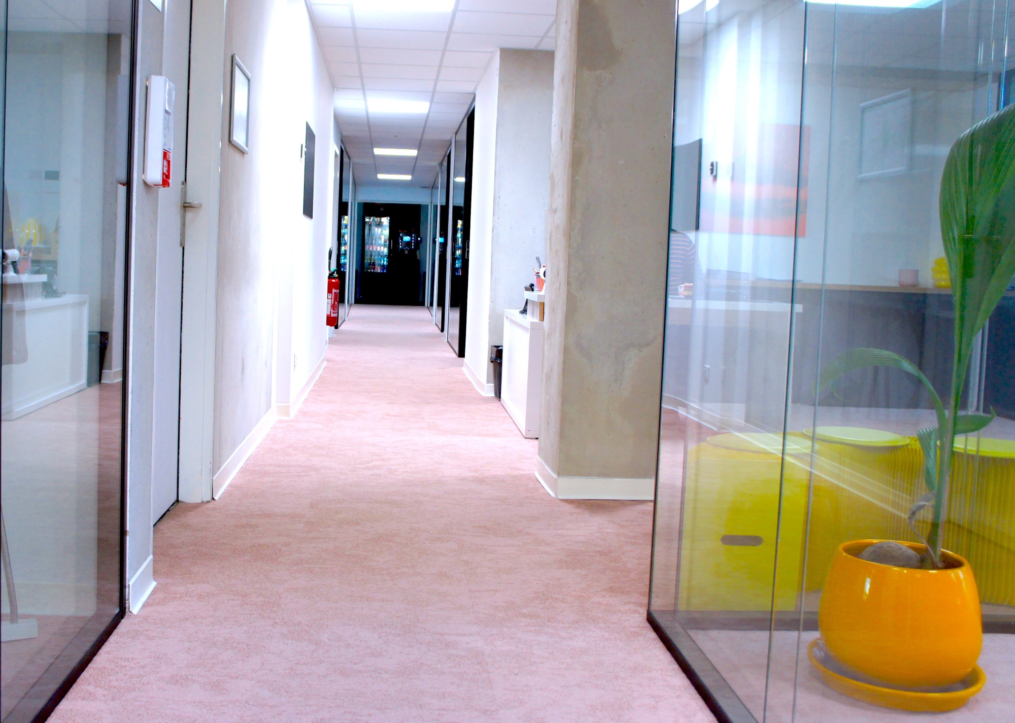 ALVEA LOC, Avenue Raymond Dugrand, photo 4