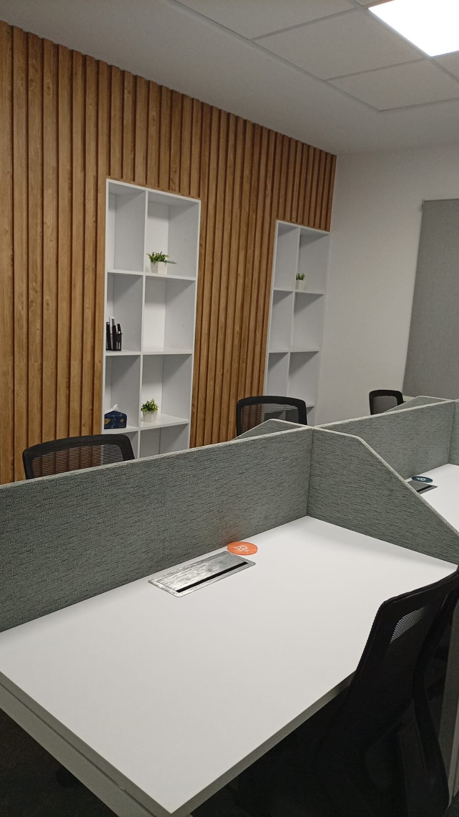 B87 Spaces، مساحة مفتوحة، مدينة نصر