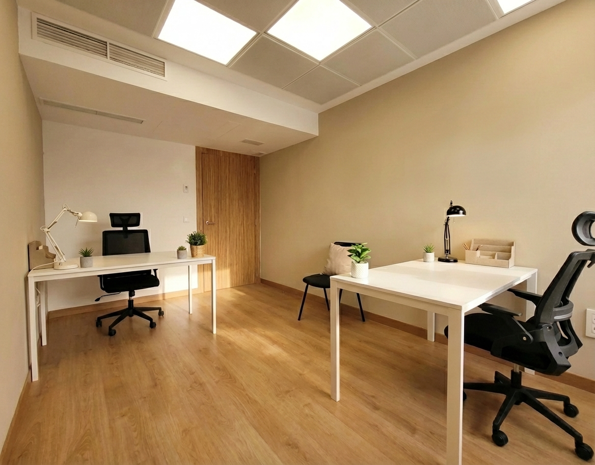 Business Rooms Campanar, Private office, 2 desks, Valencia