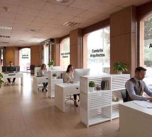 Ceicow, Open-plan office, Cambrils