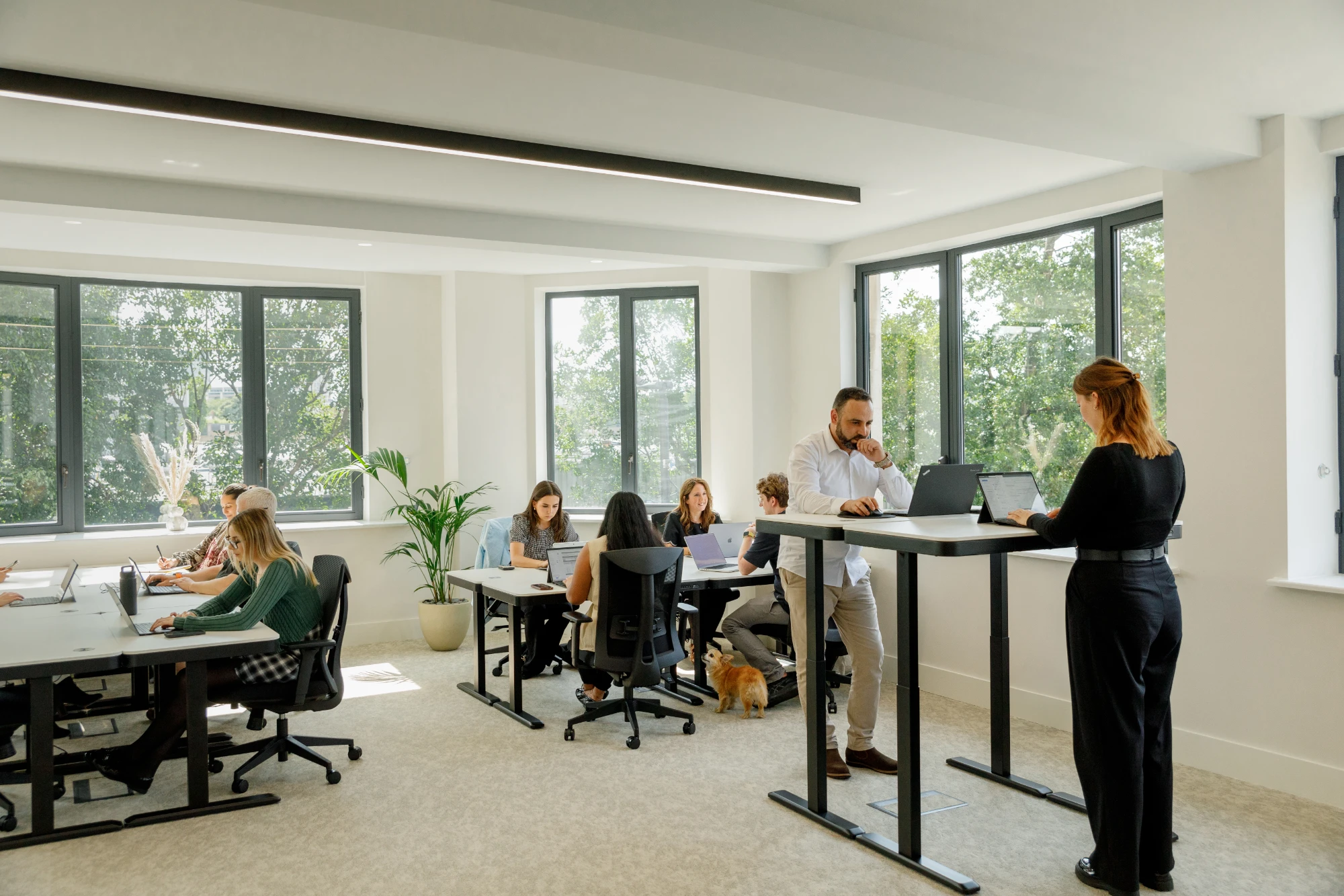 Halkin - Mainframe, Open-plan office, London
