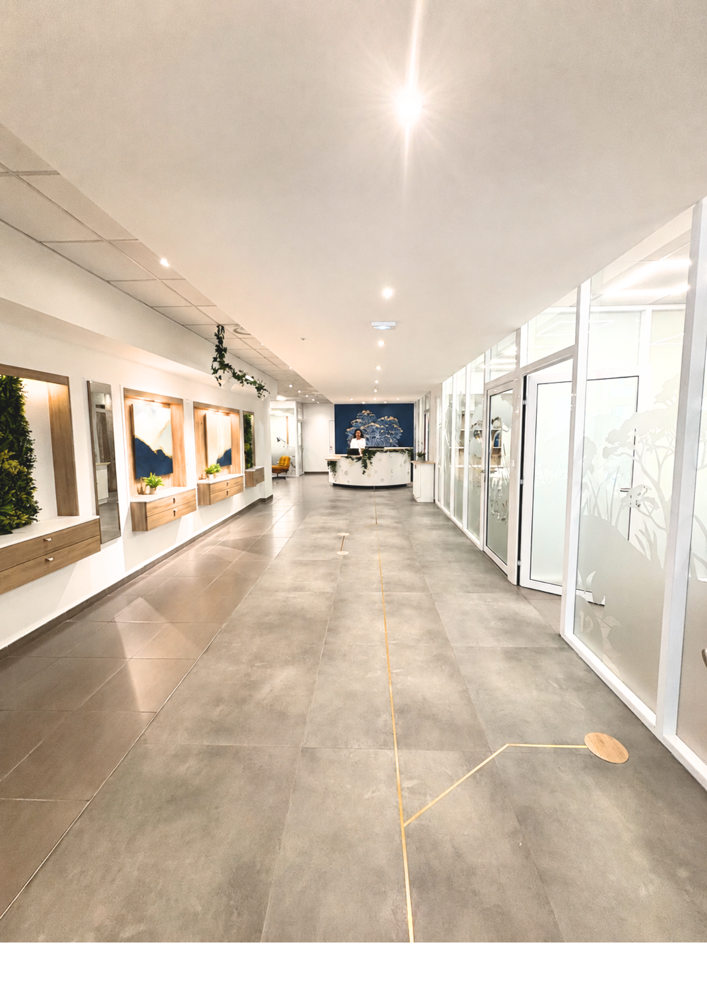 La Rivière Caillou - Centre d'affaires, La Rivière Caillou - privatisation, Saint-Étienne
