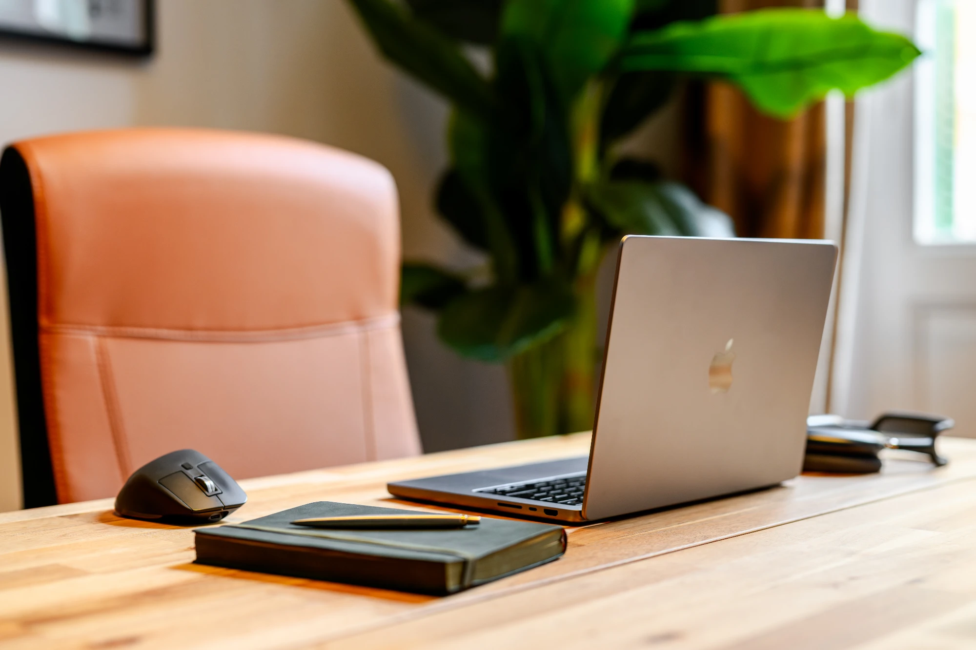The Zen Den, Private office, 1 desk, Nicosia