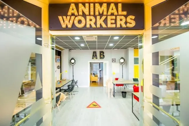 Animal Workers, Espaço de coworking, Boadilla del Monte