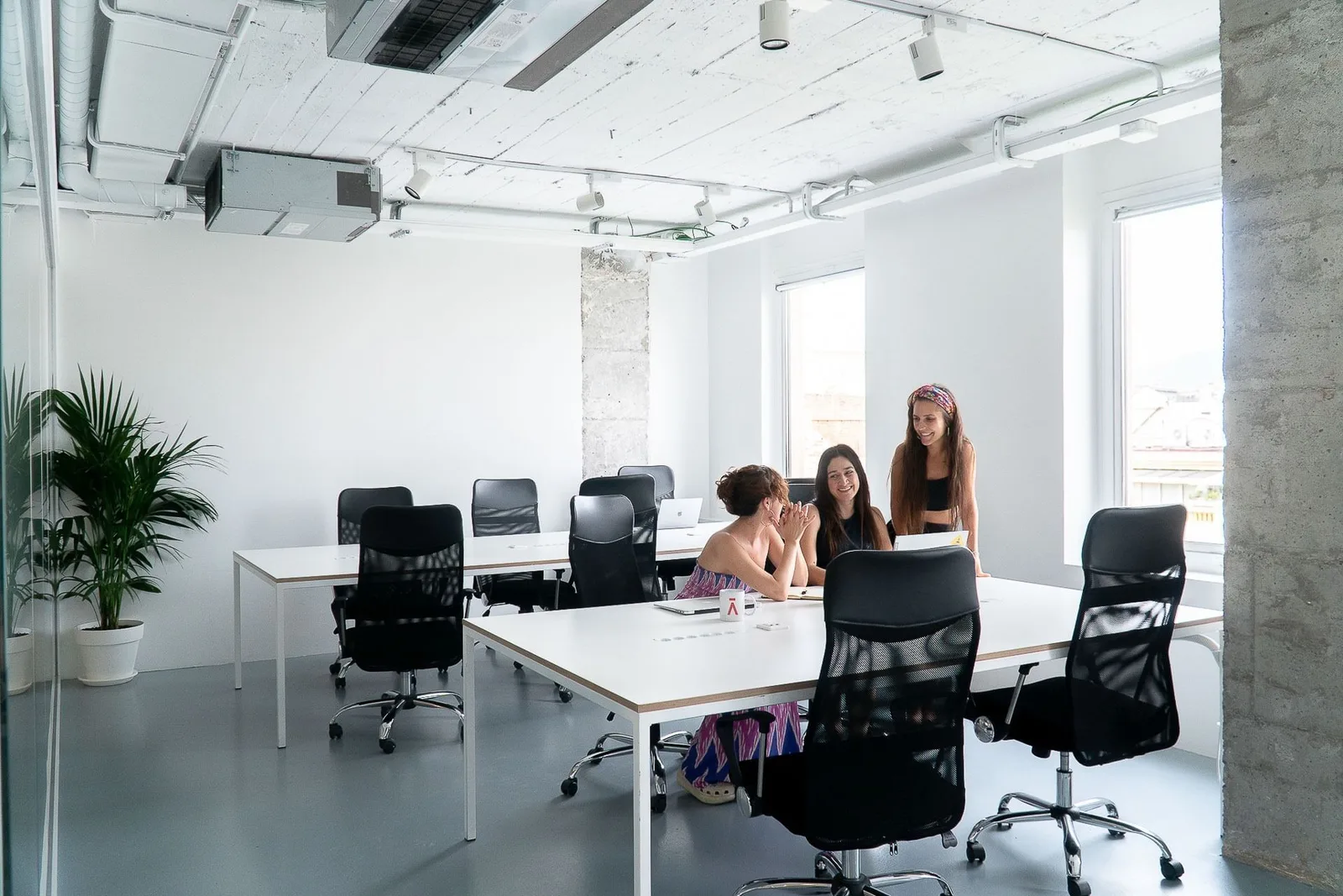 Aticco Catedral, Open-plan office, Barcelona