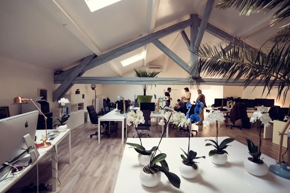 Atome Jungle, Open space, Villeurbanne