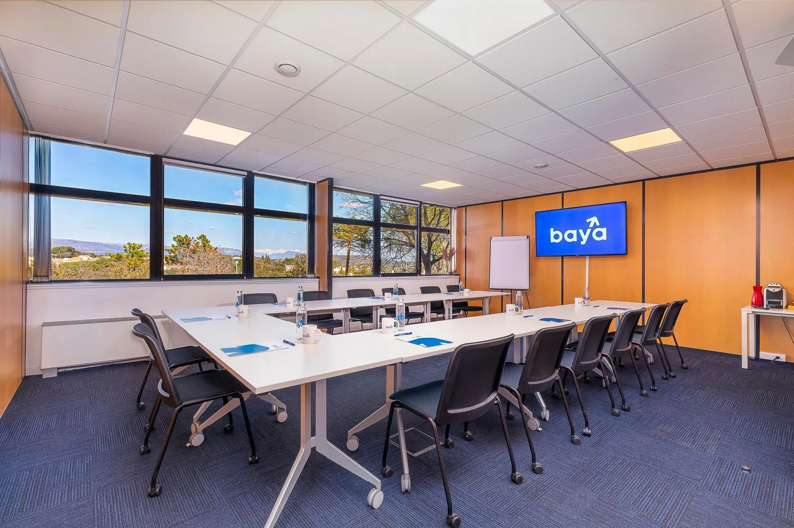 Baya Sophia Antipolis, Schulungsraum für 14 Personen, Biot