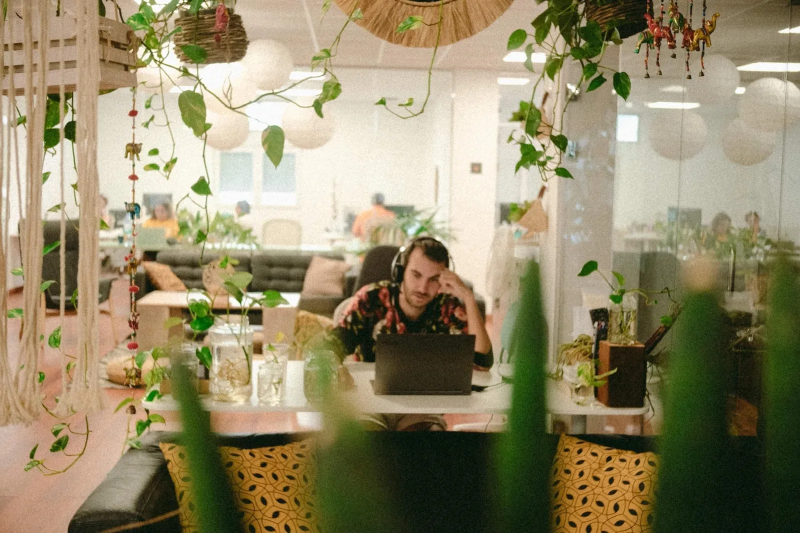 Beach House Coworking, Espacio de coworking, Las Palmas de Gran Canaria