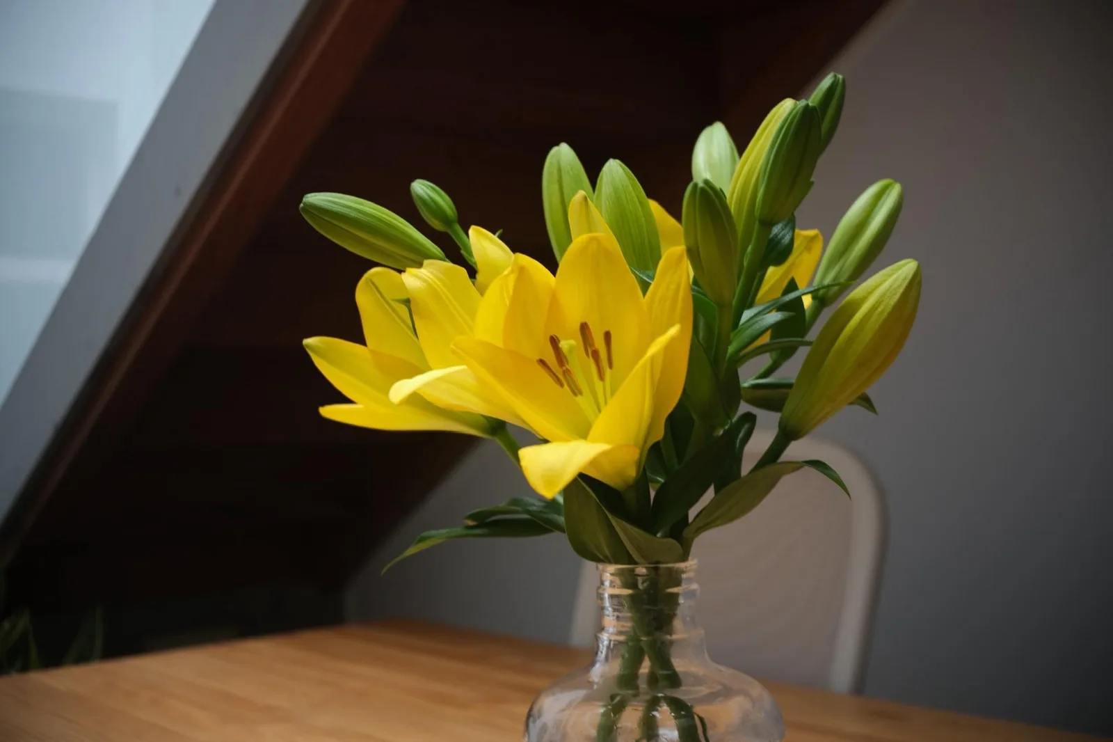 Black House Coworking, Las Palmas de Gran Canaria, foto 3