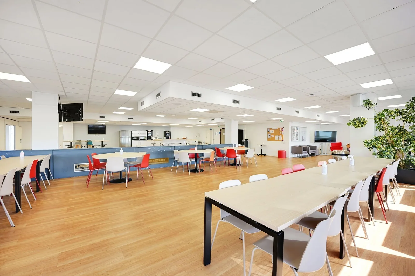 Bureaux de la Colline, Cafeteria, Saint-Cloud