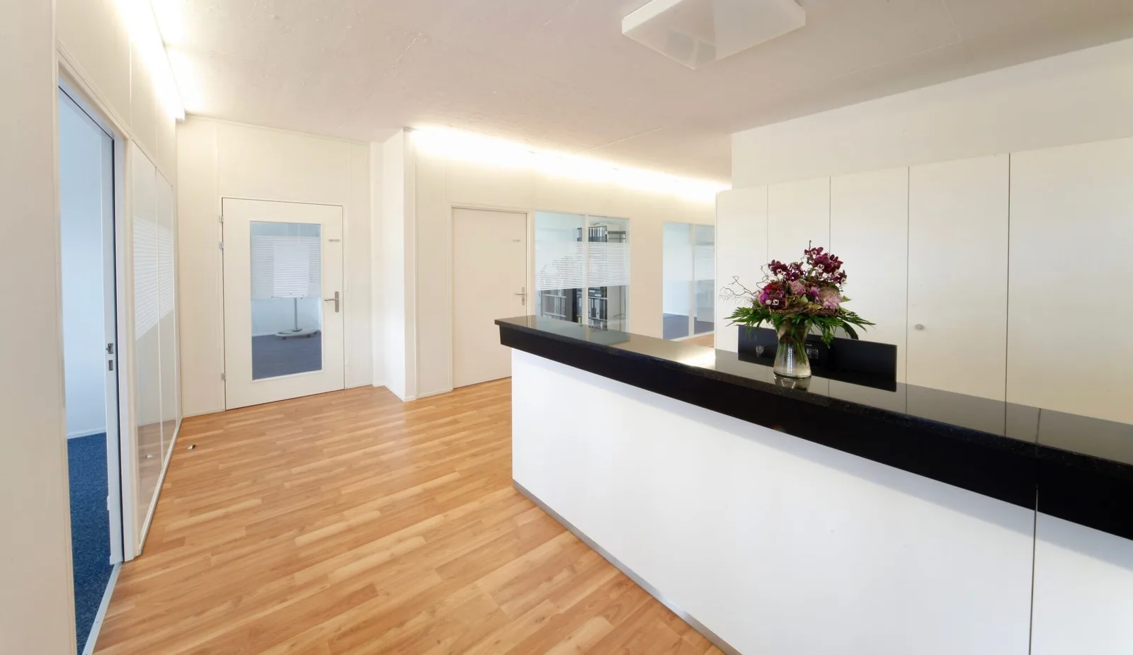 Büro Impuls, Réception, Baar