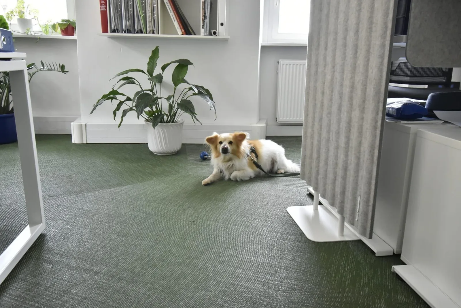 Büro T6, Open-plan office, Regensburg