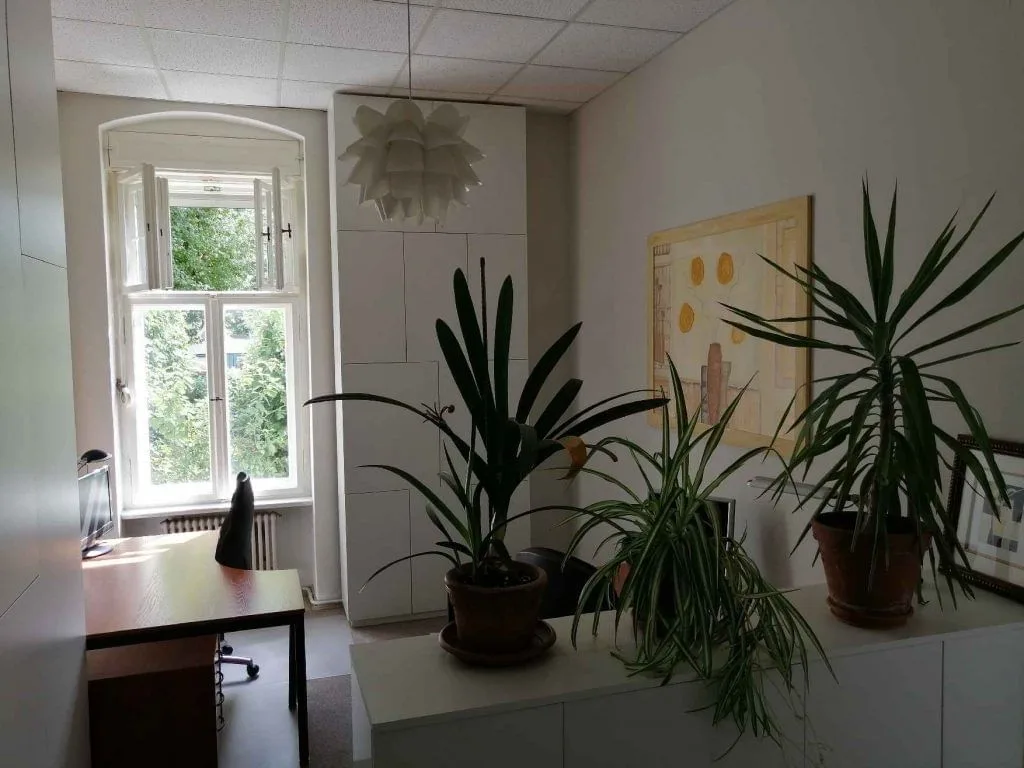 Bürogemeinschaft Nordufer, Private office, 1 desk, Berlin