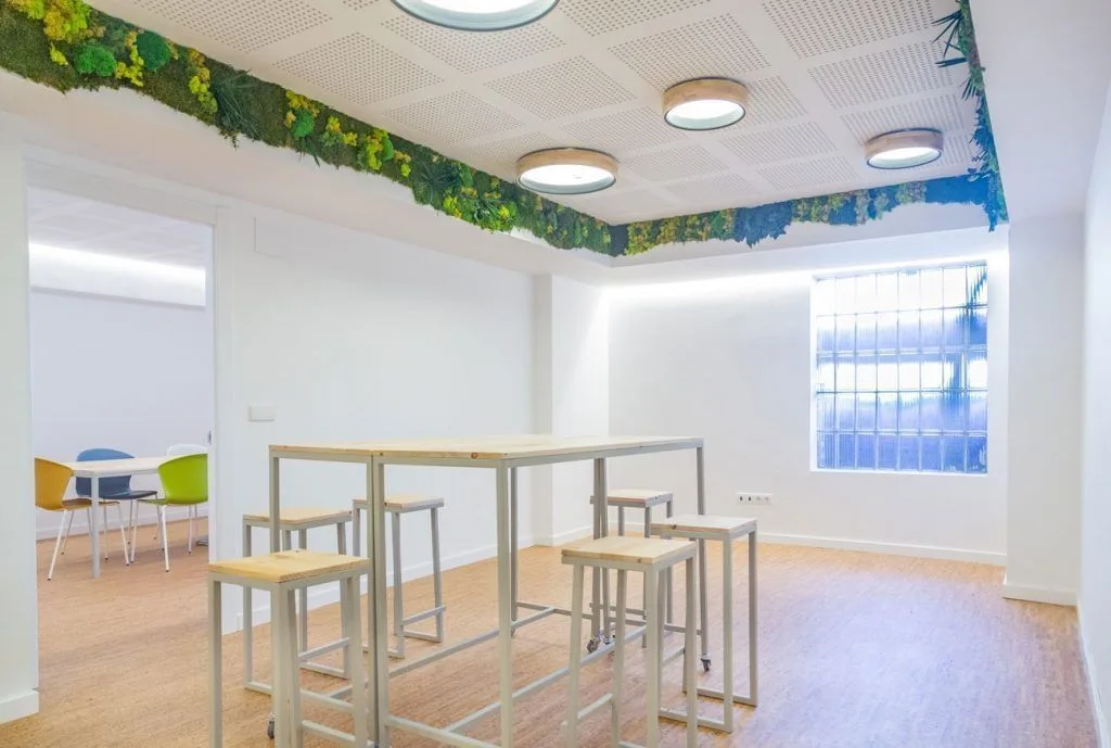 Camaleón De Rubik, Coworking space, Oviedo