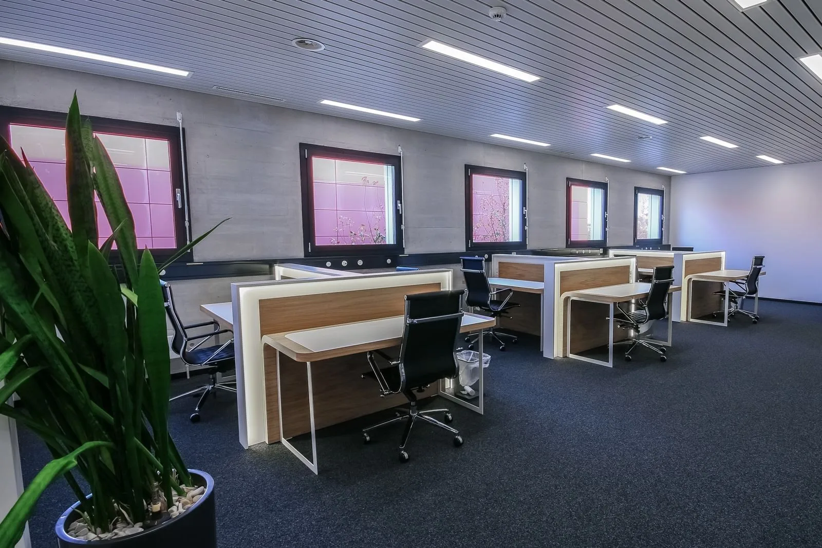Cassiopée Coworking, Open-plan office, Yverdon-les-Bains