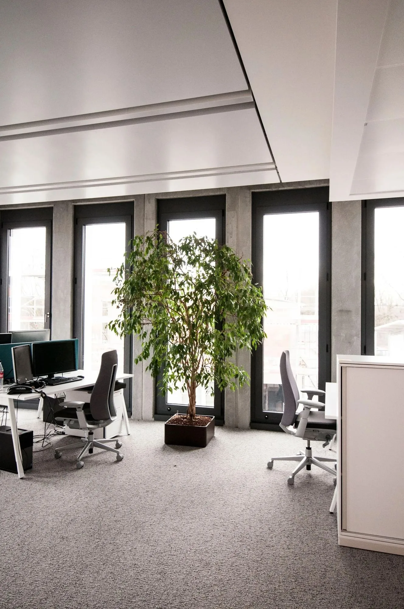 CEDAR Coworking, Open-plan office, Weinheim