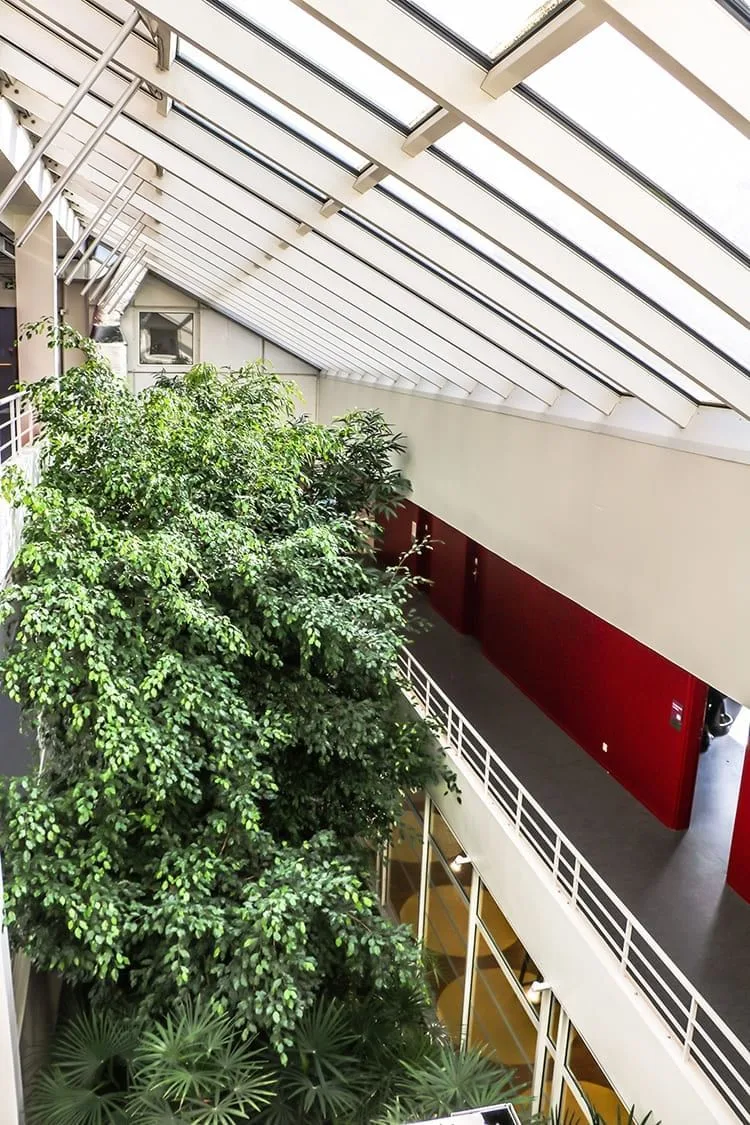 La Centrif', Espace commun, Champs-sur-Marne