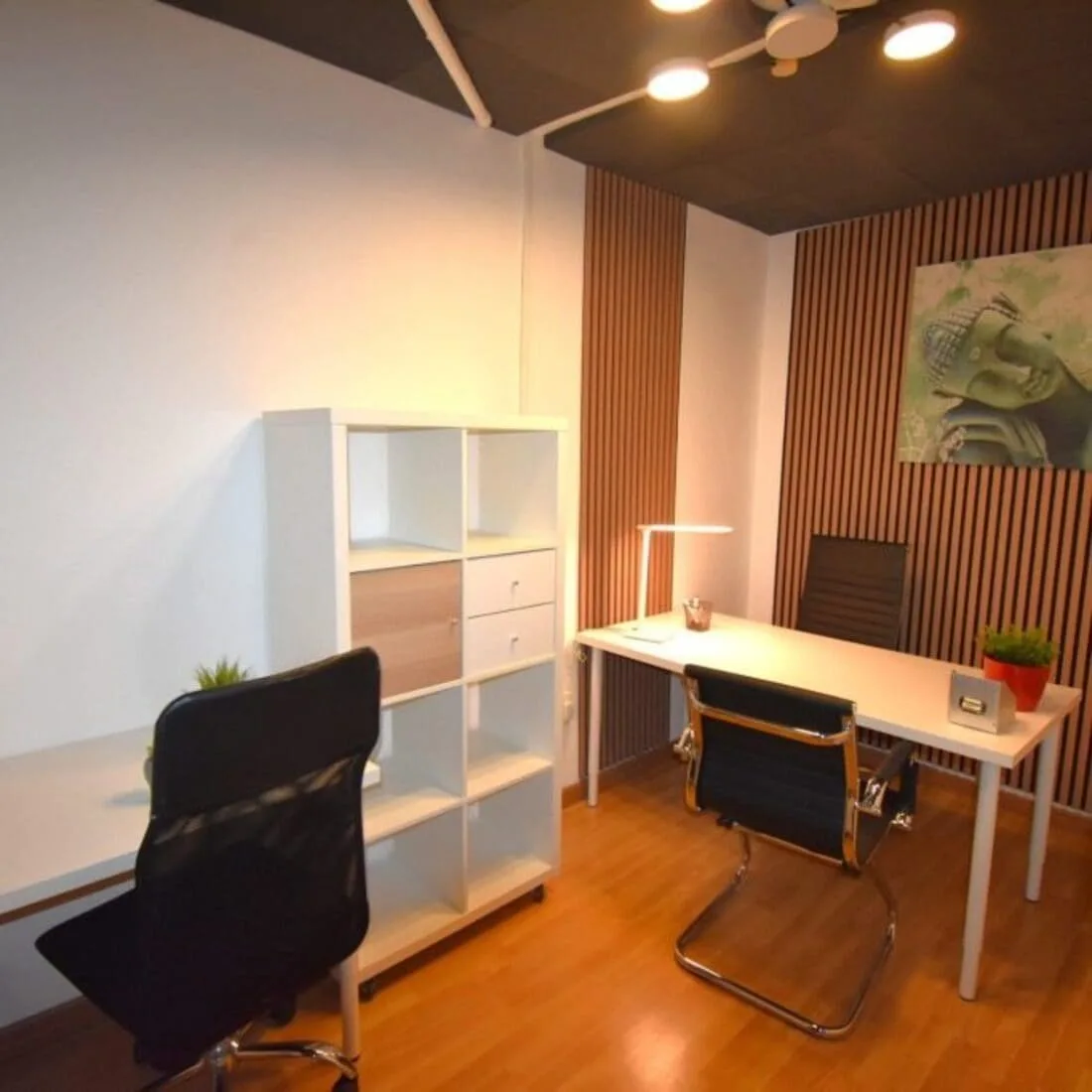 Centro de Negocios Alicante, Despacho privado con 2 puestos, Sant Vicent del Raspeig