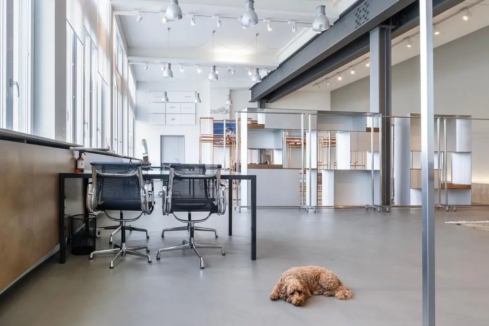 Co-working-spaceLlakeview, Open space, Thalwil