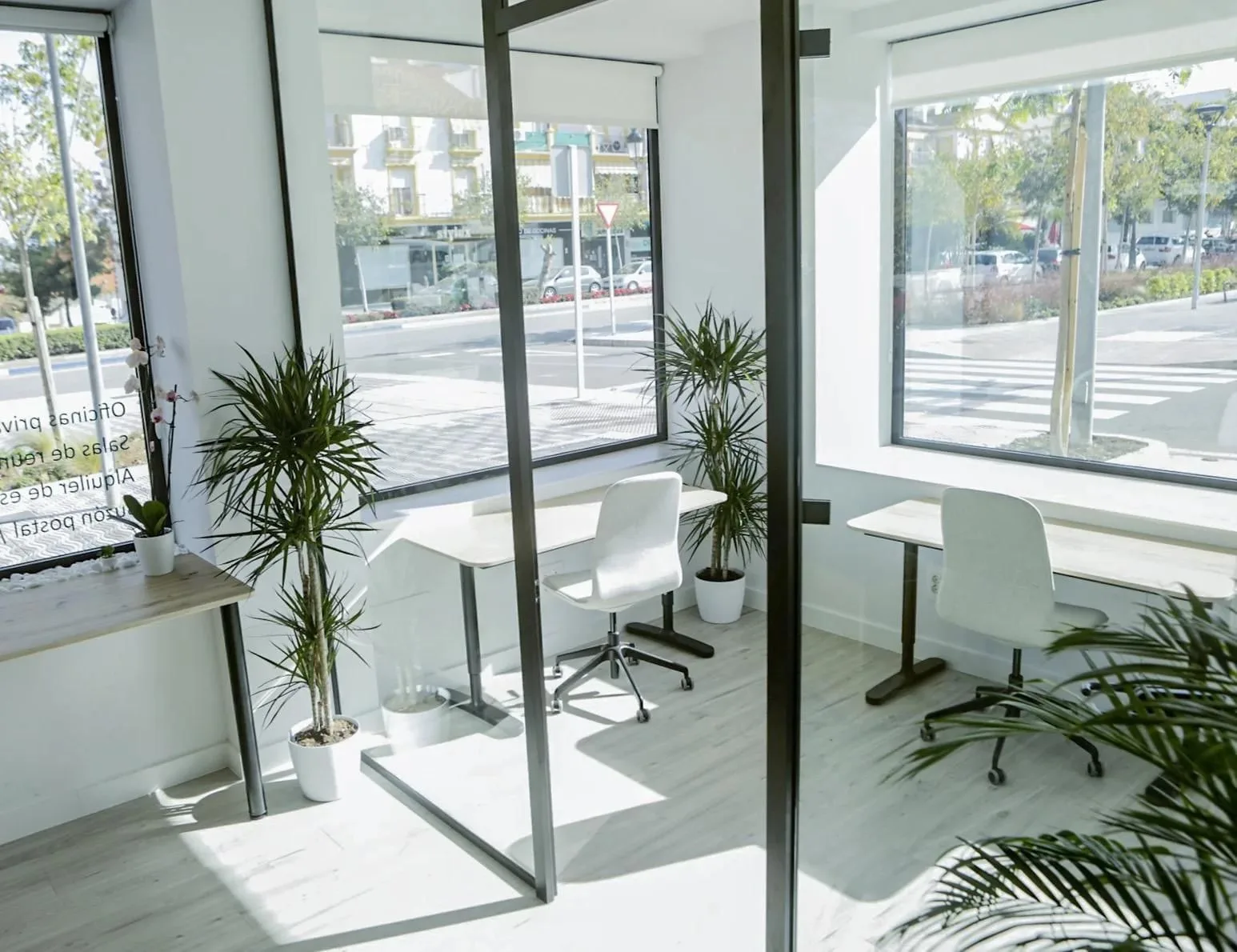 Concept Coworking, Despacho privado con 2 puestos, San Pedro de Alcántara
