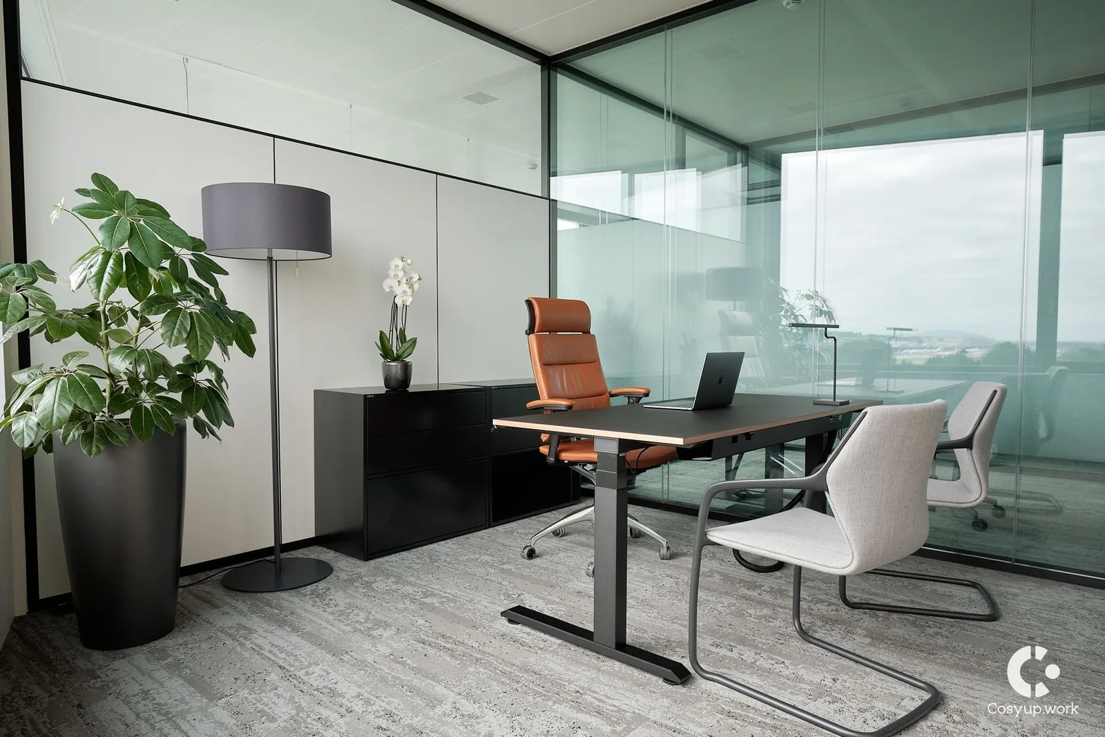 Cosyup, Private office, 1 desk, Meyrin