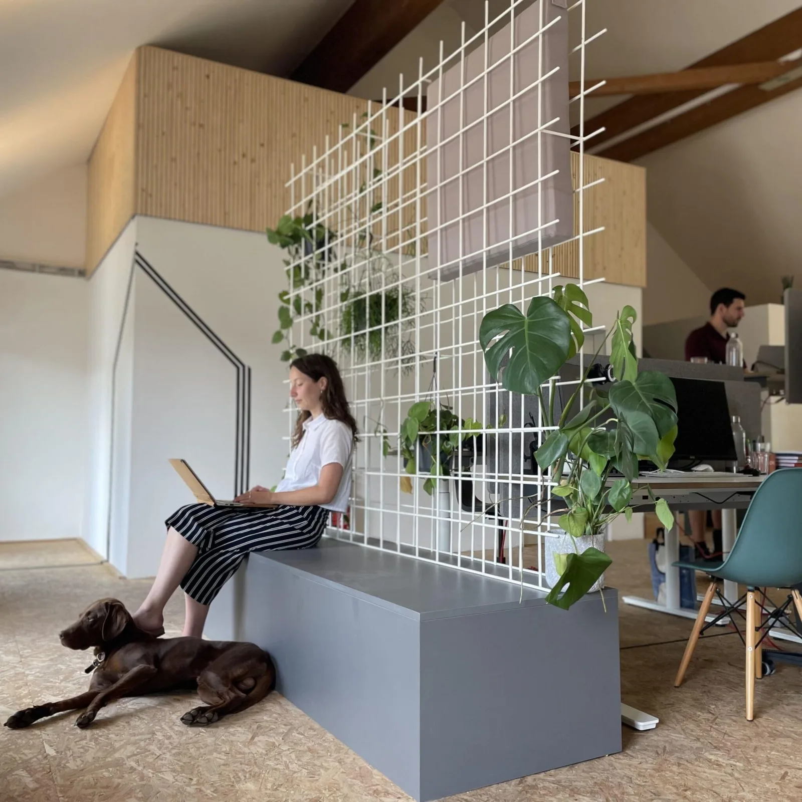 coWERK Stephanskirchen, Coworking-Space, Stephanskirchen