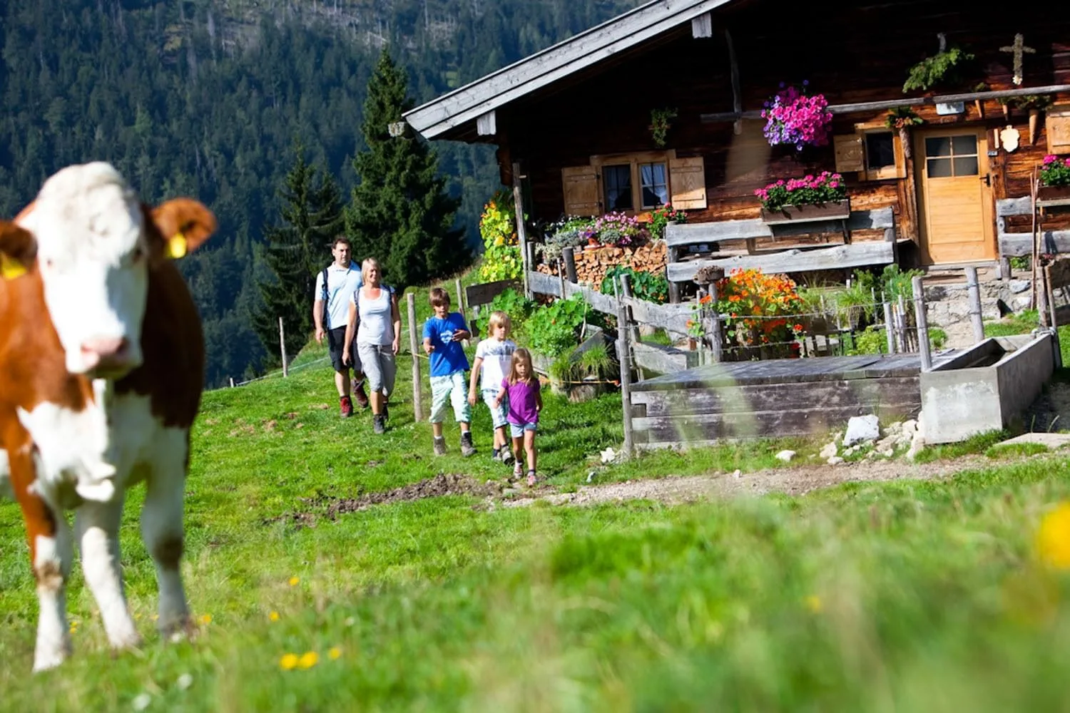 CoworkationALPS Bayrischzell, Bayrischzell, photo 4